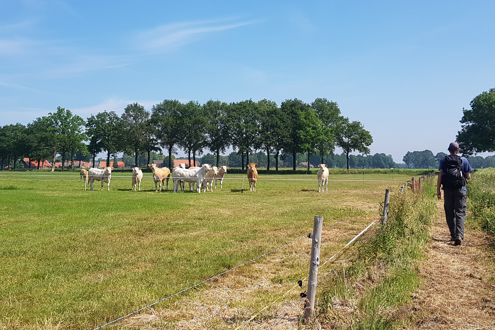 Nederland - Twente