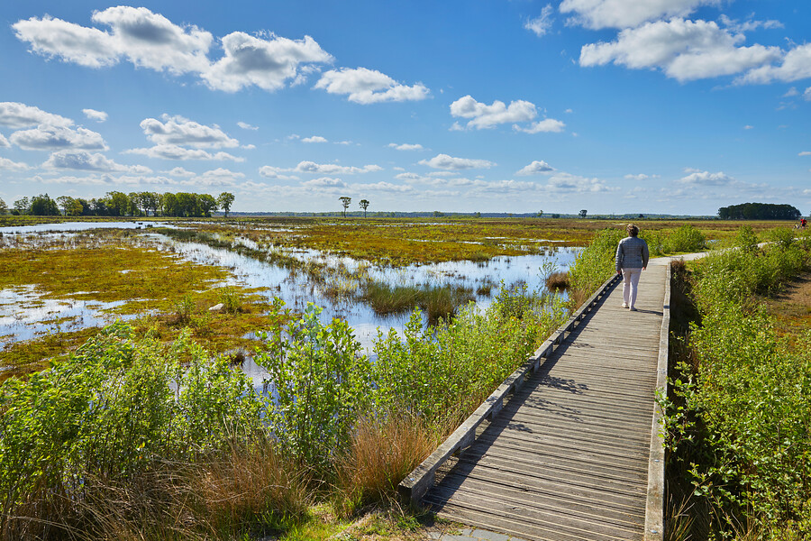 Nederland - Drenthe