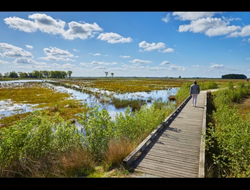 Wandelen Drenthe