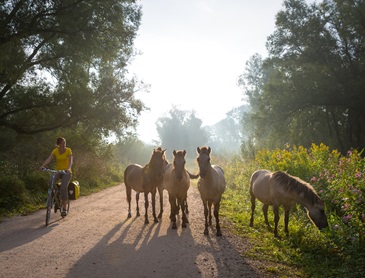 Het Fietserpad Zuid Limburg naar Achterhoek