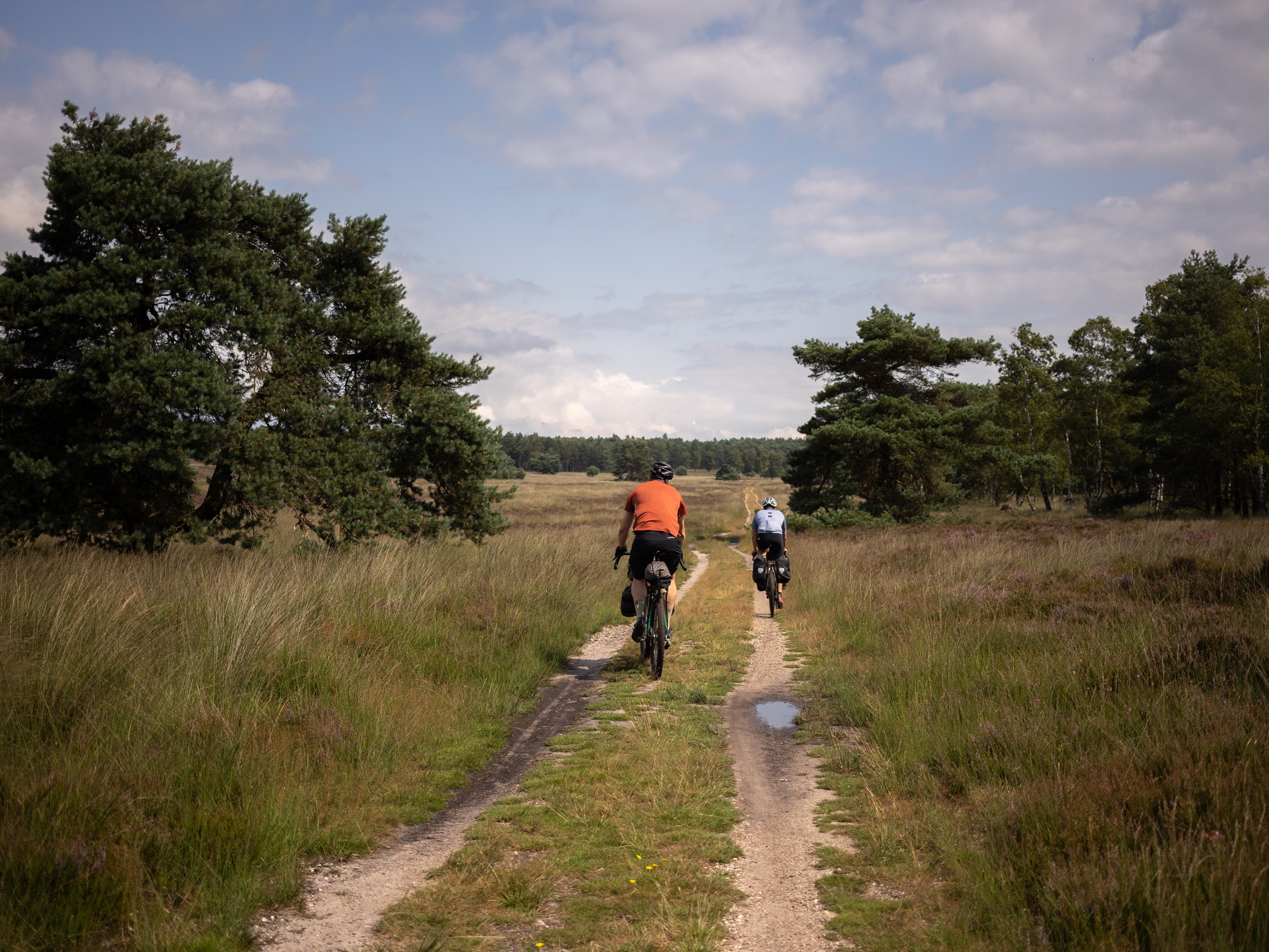 Nederland - Veluwe