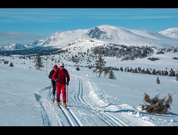 Golsfjellet
