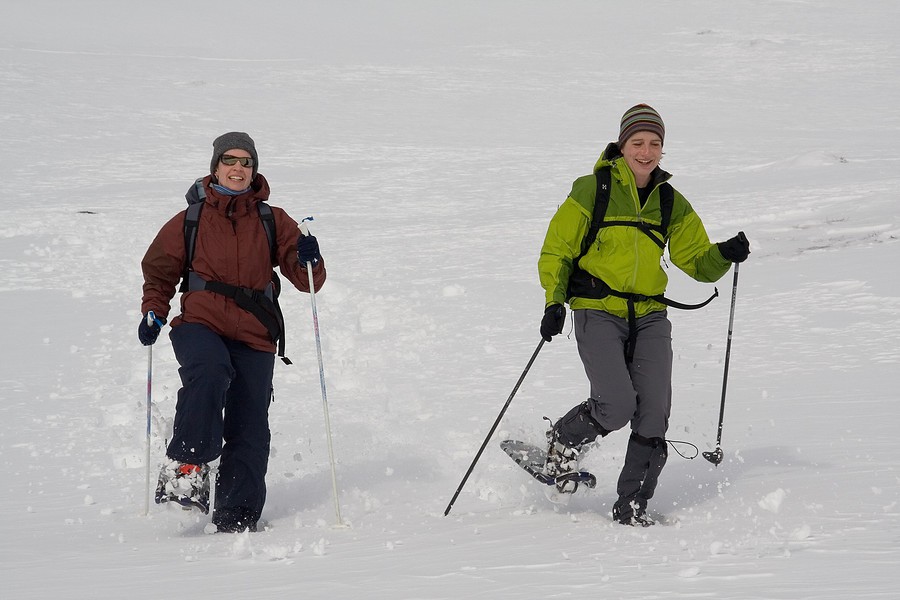 rondane