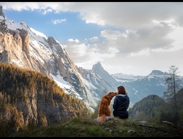 Wandelen met hond in de bergen