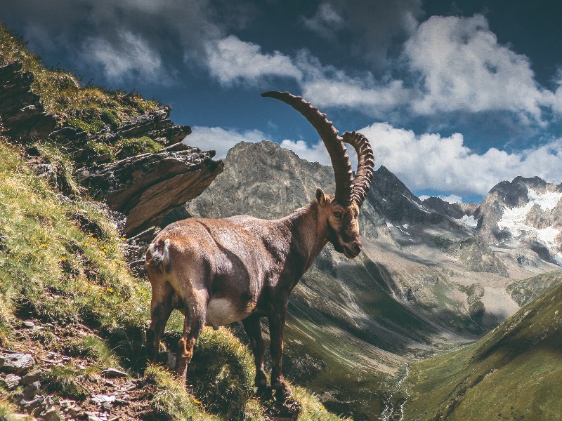Oostenrijk - Pitztal