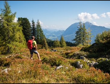 Wandelen Dachstein