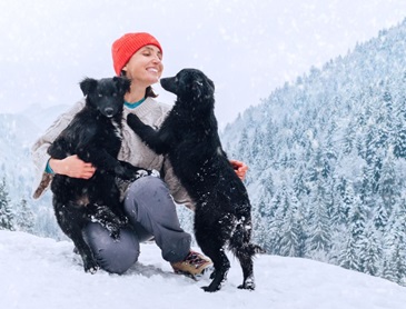 Wintervakantie met hond vanuit hondvriendelijk hotel