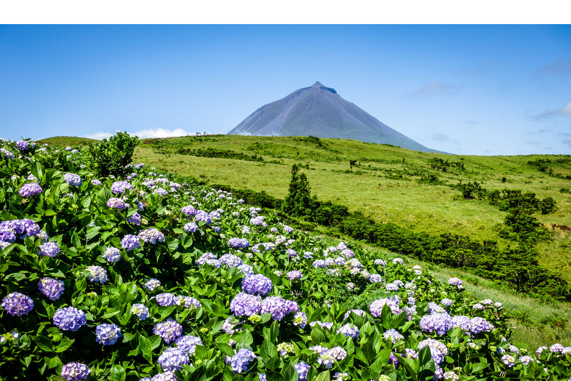 Wandelen Azoren Pico
