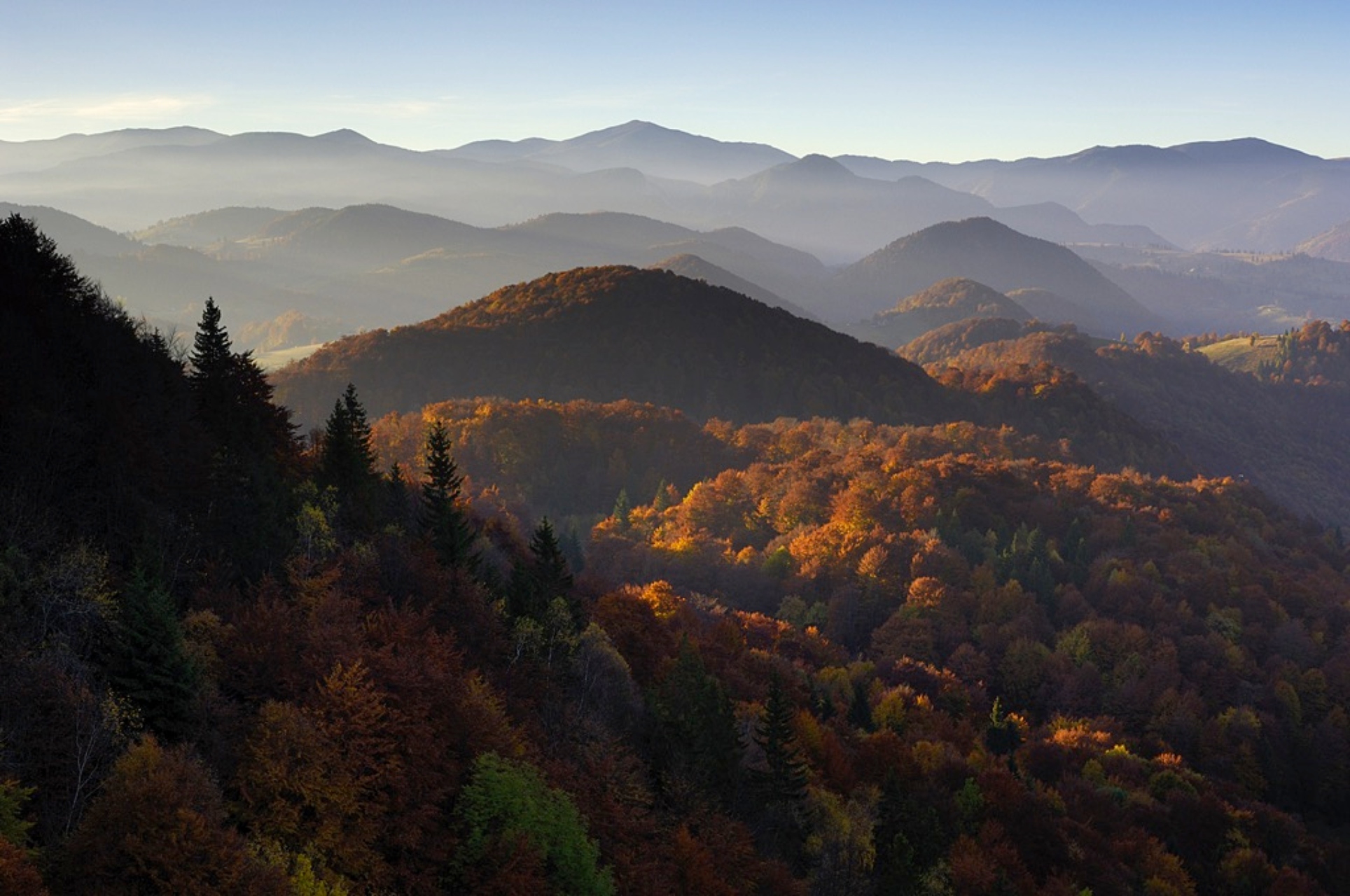 Maak een bijzondere natuurreis door groen Roemenië