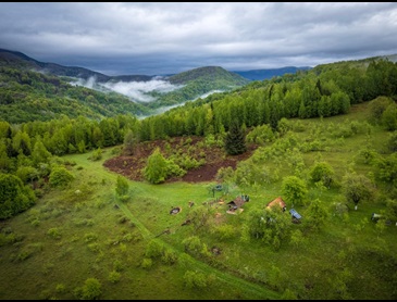 Maak een bijzondere natuurreis door groen Roemenië