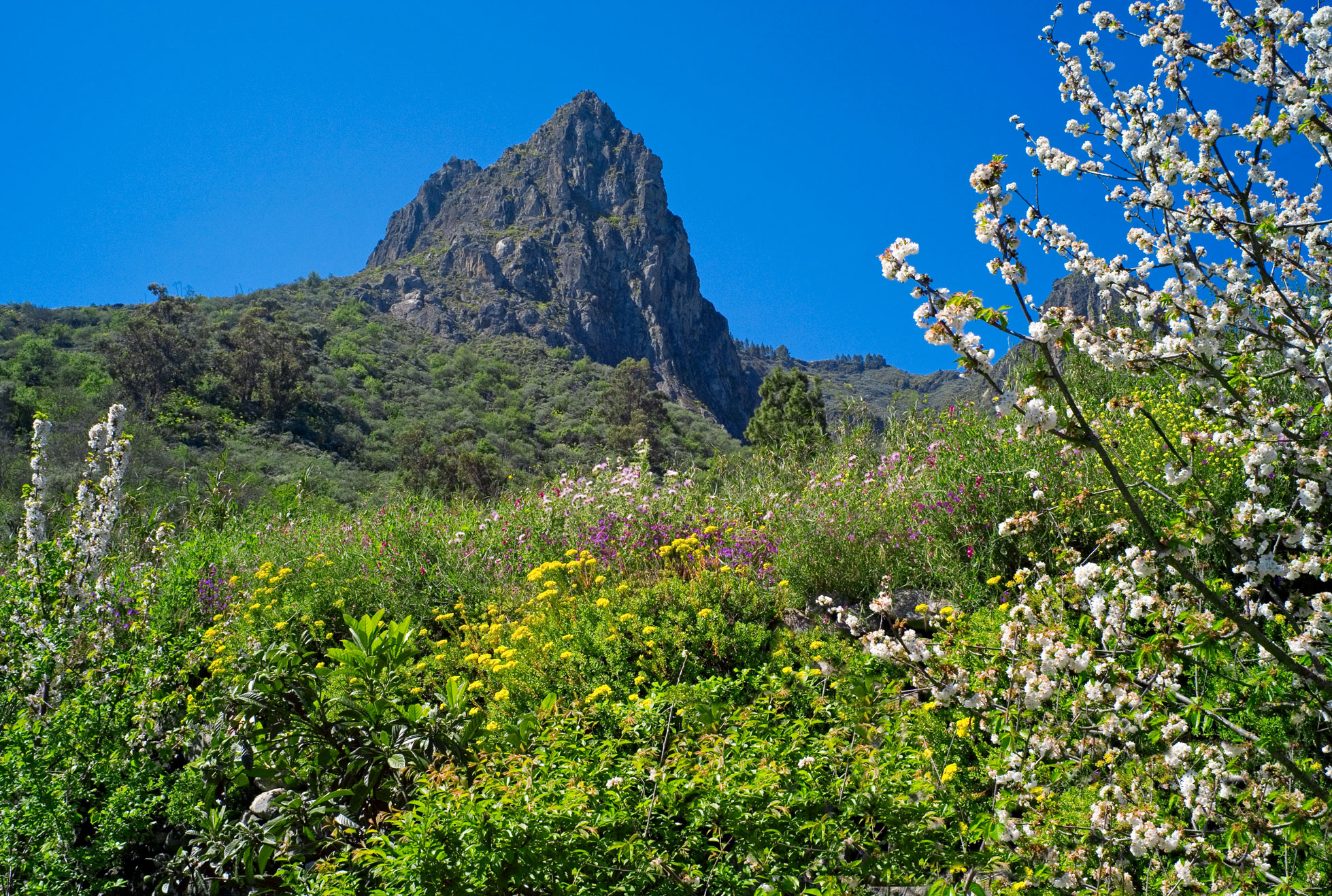 Spanje Gran Canaria selfdrive 