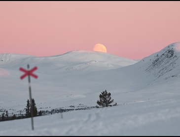 dalarna