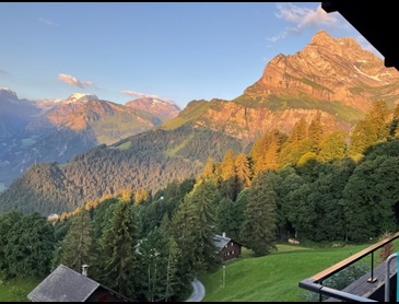 braunwald