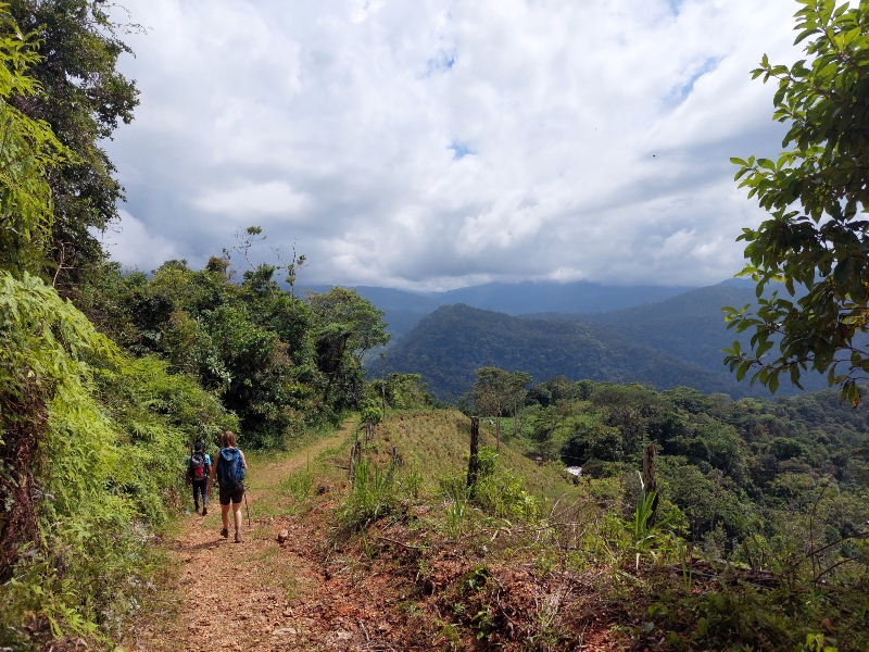 Costa Rica - Sukia Trail