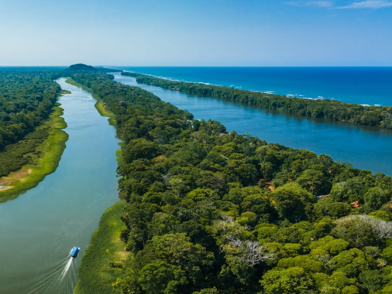 Nationaal Park Tortuguero