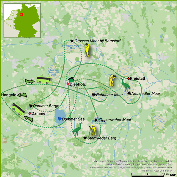 125335-Diepholzer-Moor