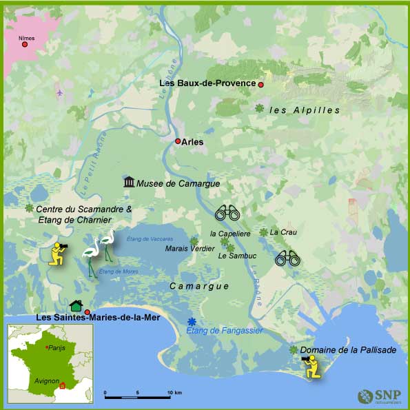 125350_Vogelreis-Camargue