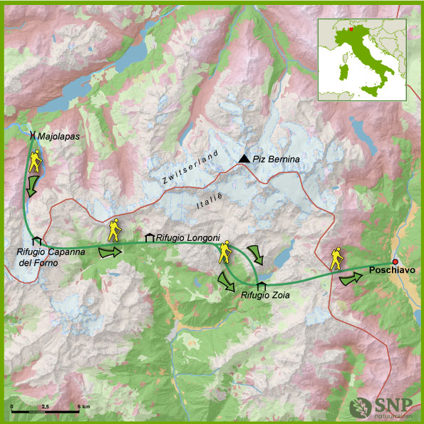 312320_Sentiero-Bernina-Sud