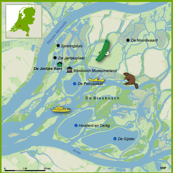 115113_Biesbosch-cursus-vogelkijken
