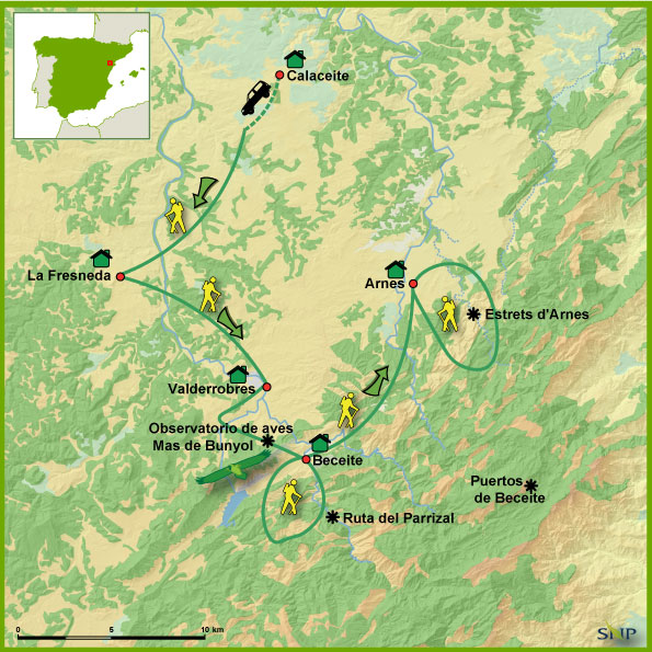321230-Aragon-Matarrana
