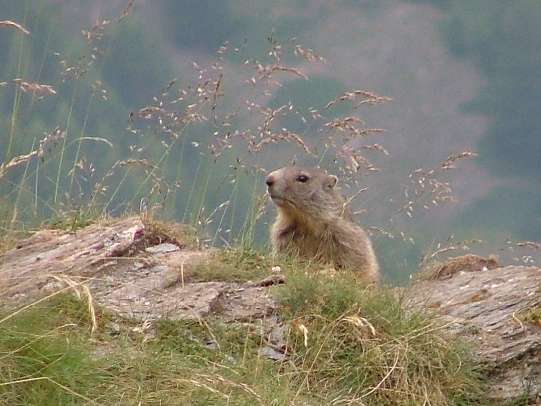 Pas du Chaï of panoramische irrigatieroute