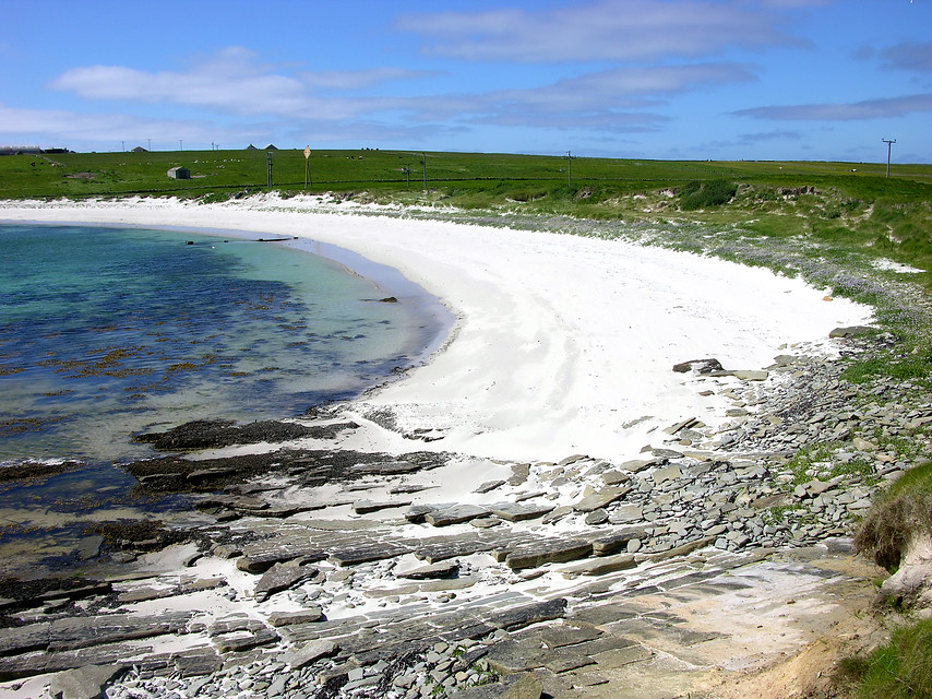 Op zoek naar krabben, visjes en zeesterren