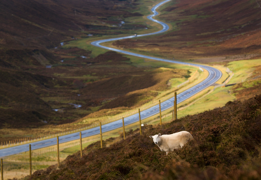 Het eiland Arran verkennen