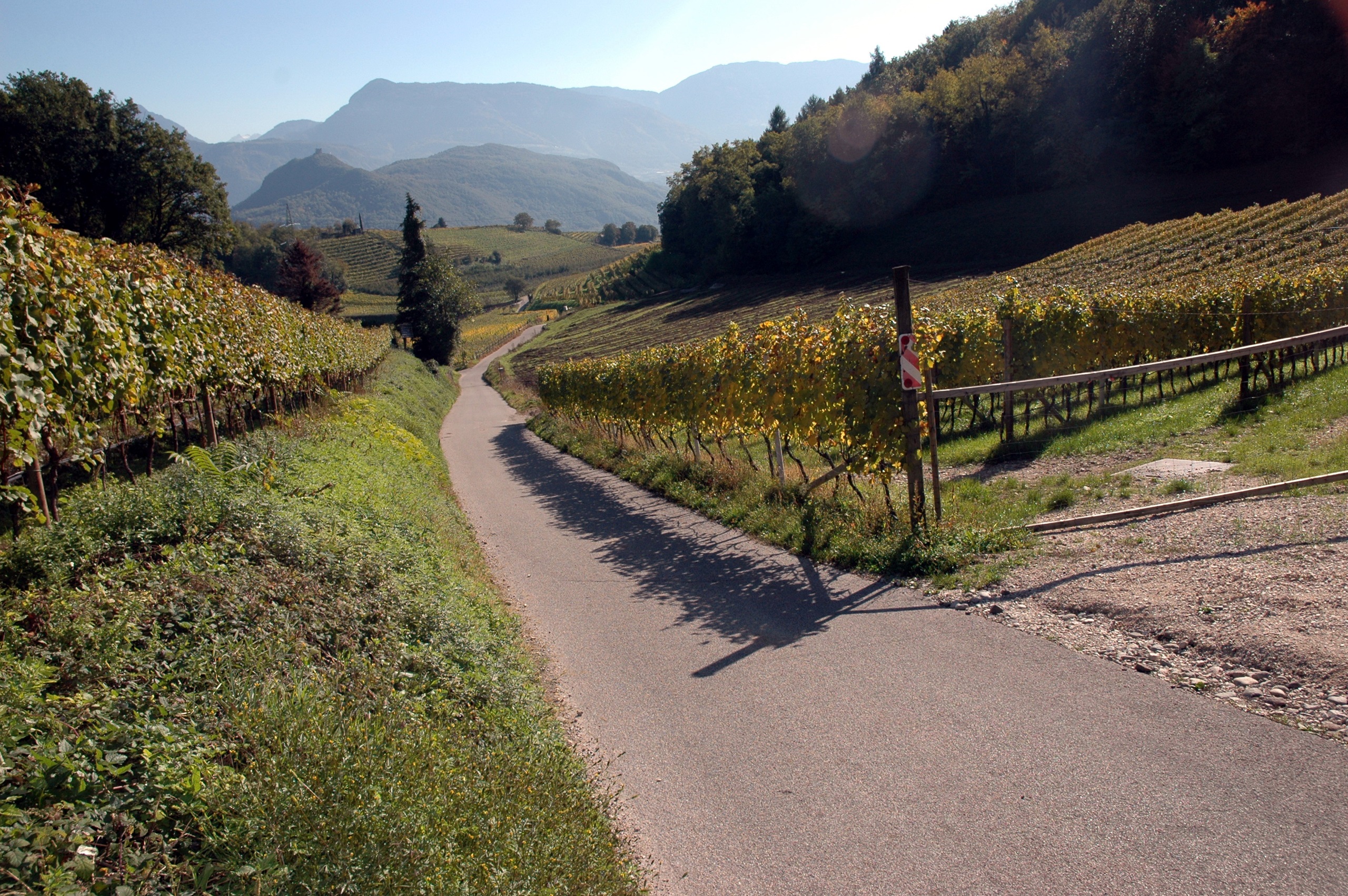 Door appelboomgaarden naar Bolzano