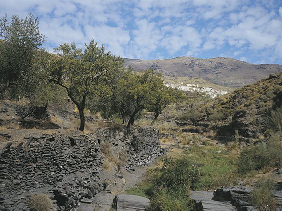 Van Capileira naar Mecina