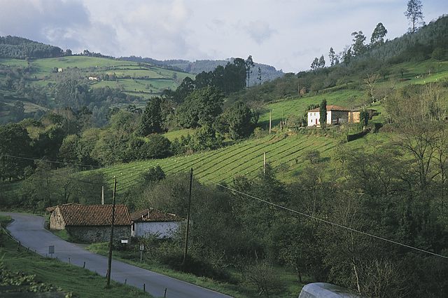 Rondrit door de golvende heuvels