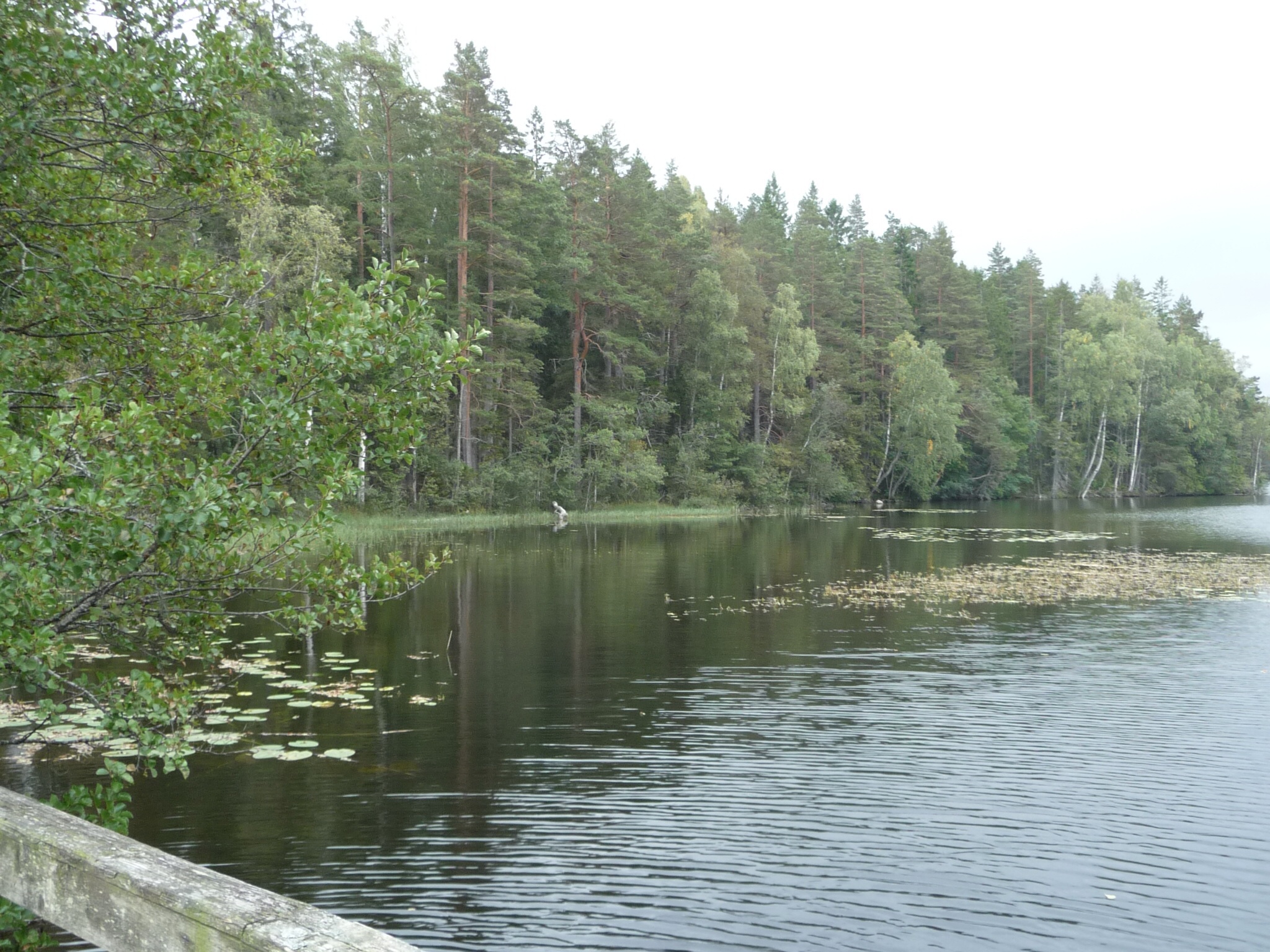 Kanotocht terug naar Sandvikengarden