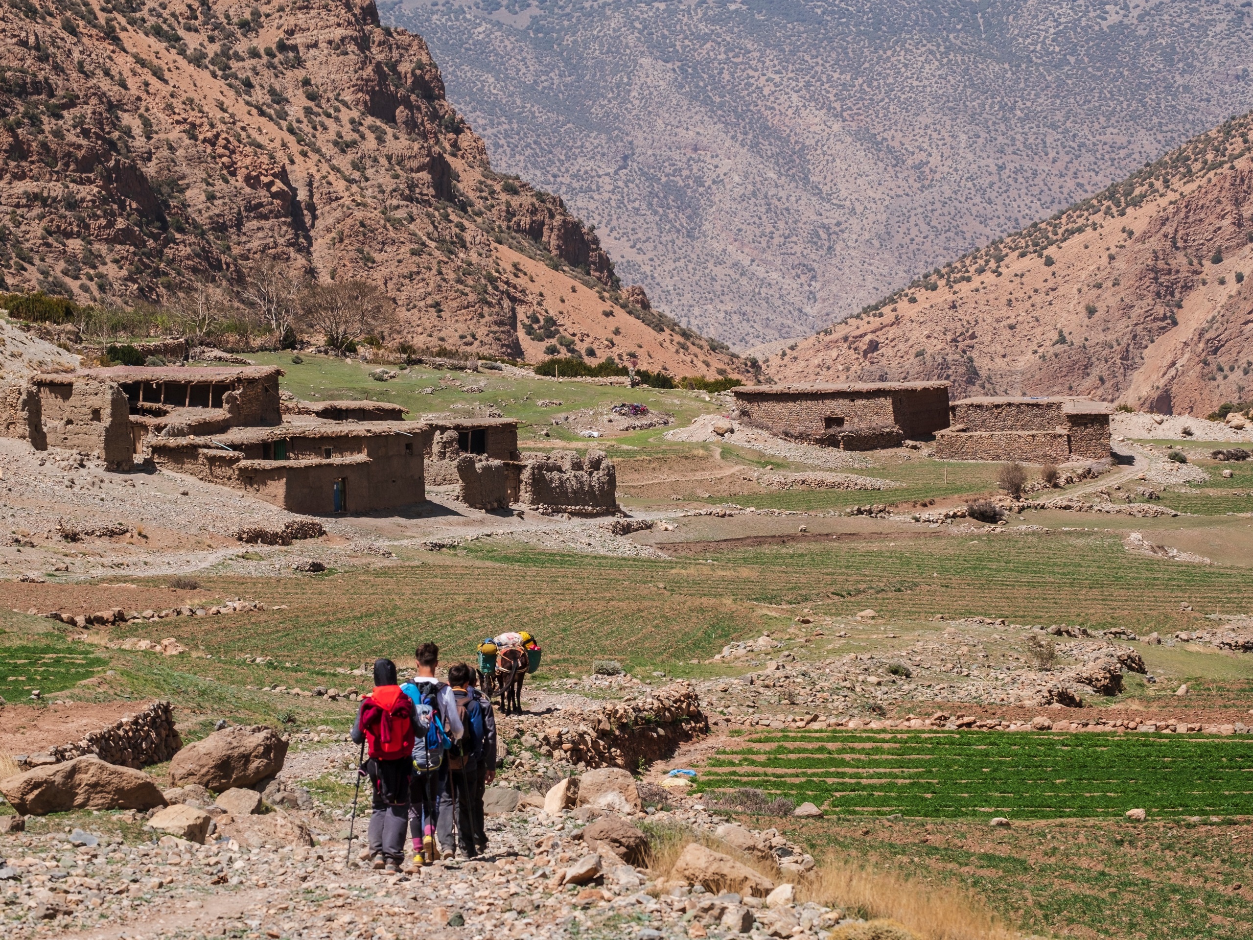 Transfer naar the Happy Valley