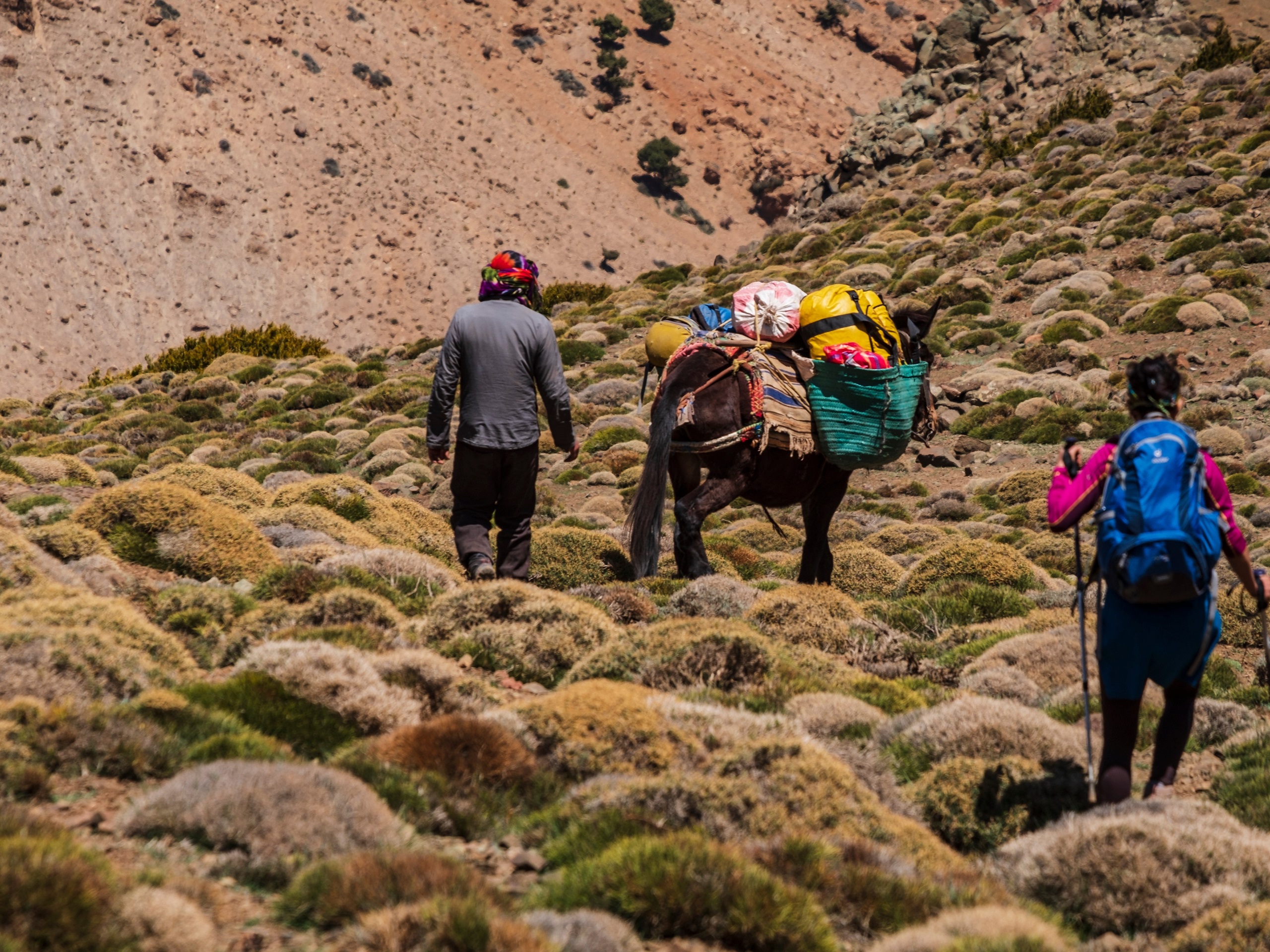 Klimmen naar Tizi n'Tarkedit (3400m)