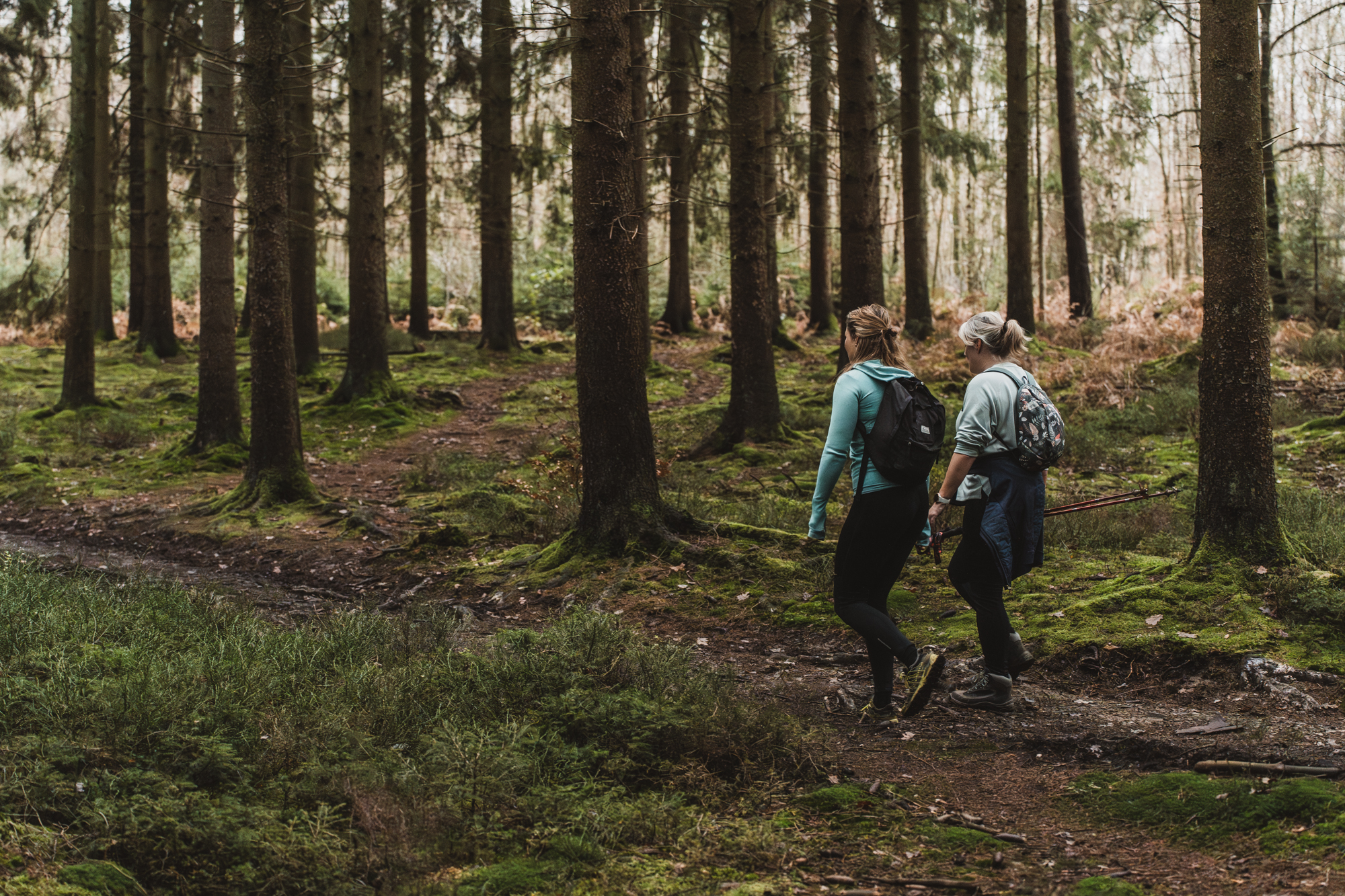 Hiken en gezelligheid