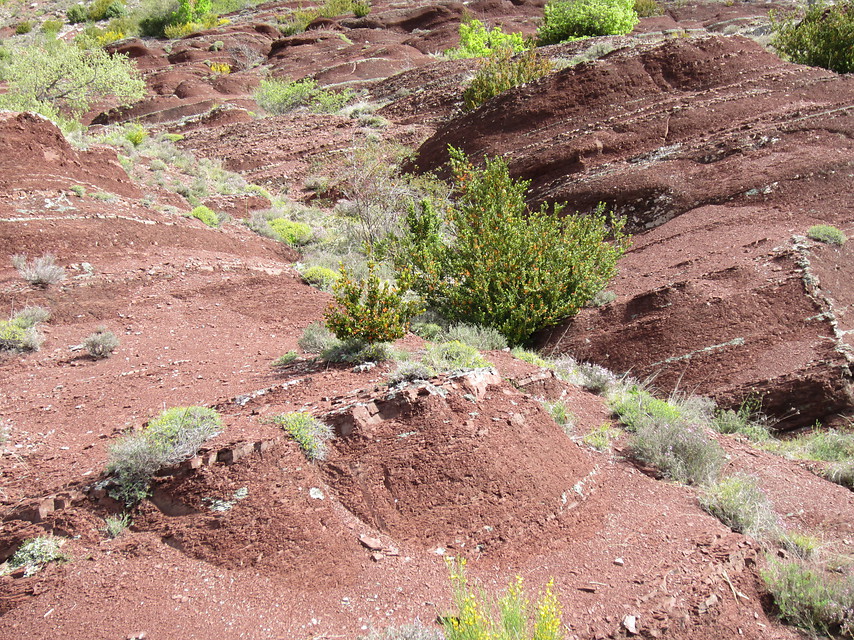 Ontdek al wandelend een schitterende kloof