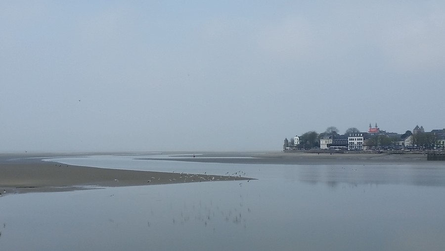 Legendes komen tot leven in het bos van Crécy