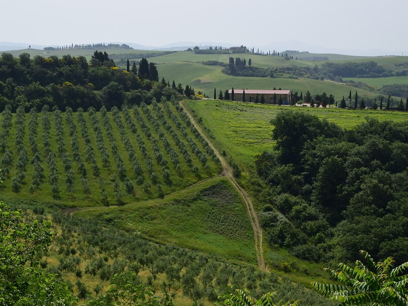 Gravelen over de Strade Bianche en wijnproeverij