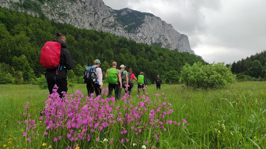 Wandeling in de Dragišnica-vallei. Transfer naar Pošćenje