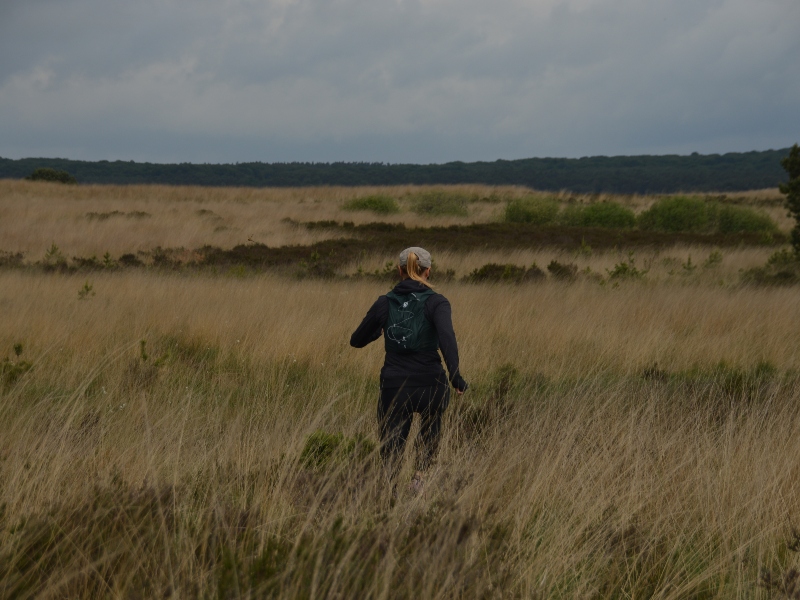 Let's hit the trails