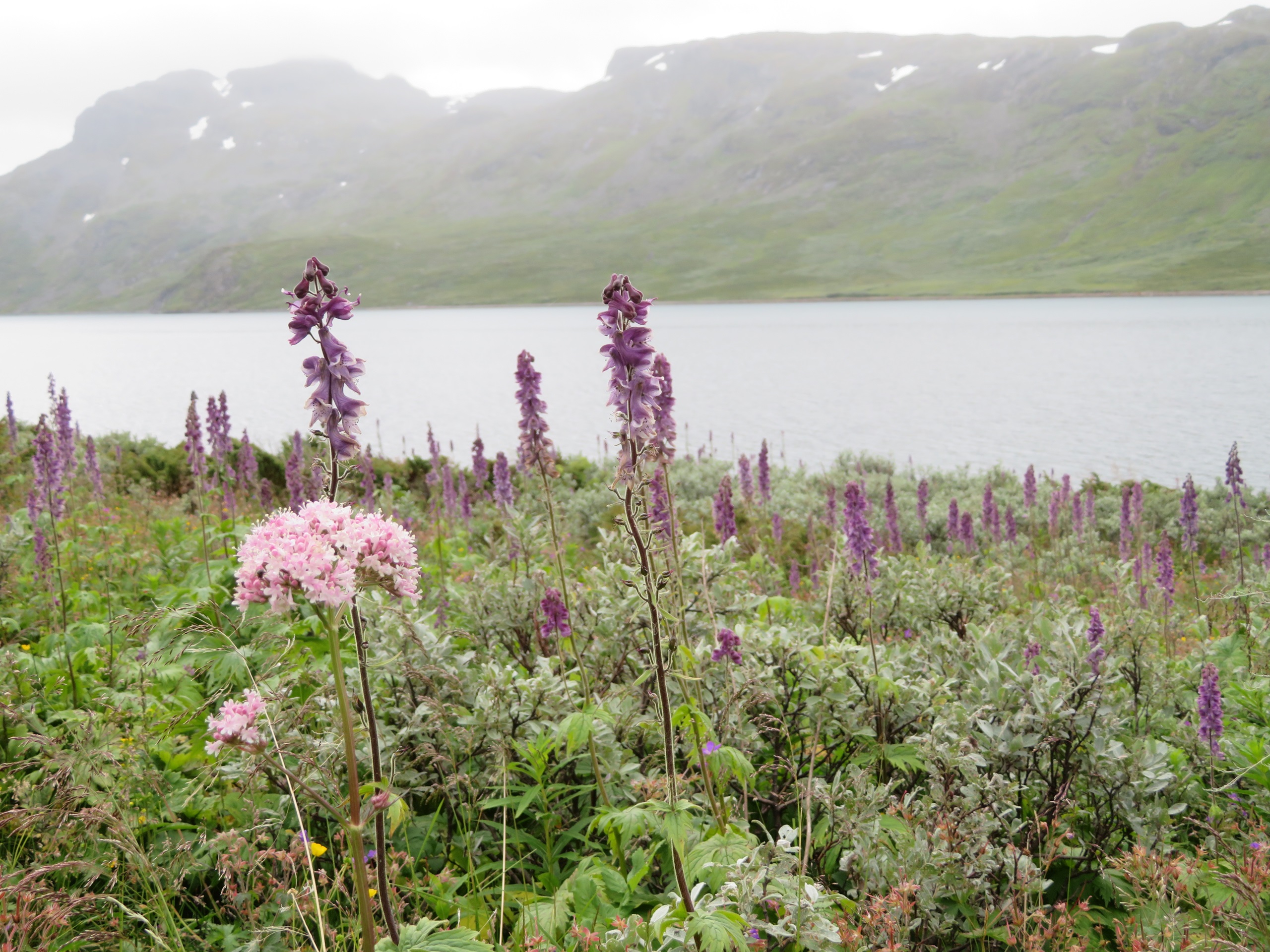 Aankomst Jotunheimen