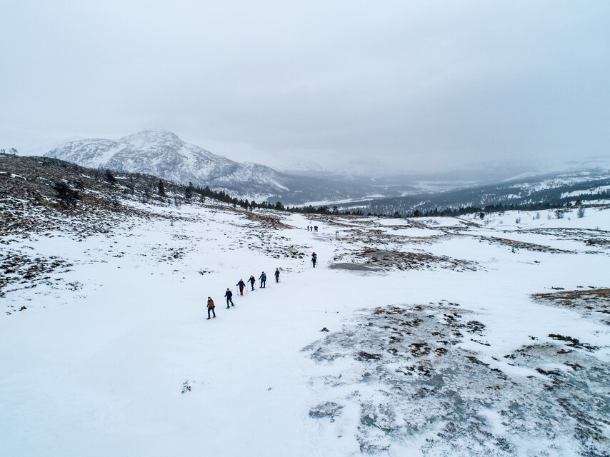 Tussen de ruige tweeduizenders
