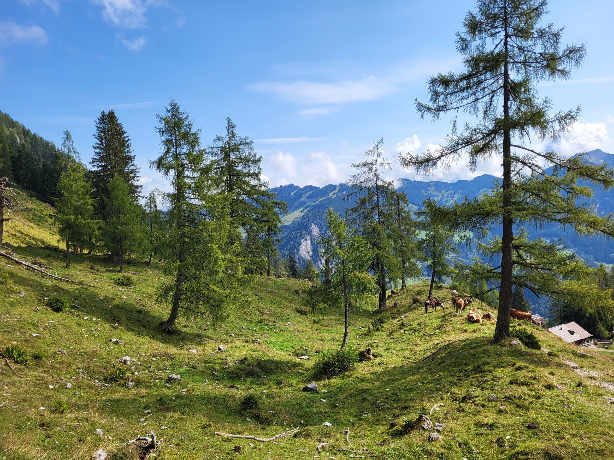 Brood-, kaas- en spekmakers en spectaculaire toppen van de Hafnergruppe