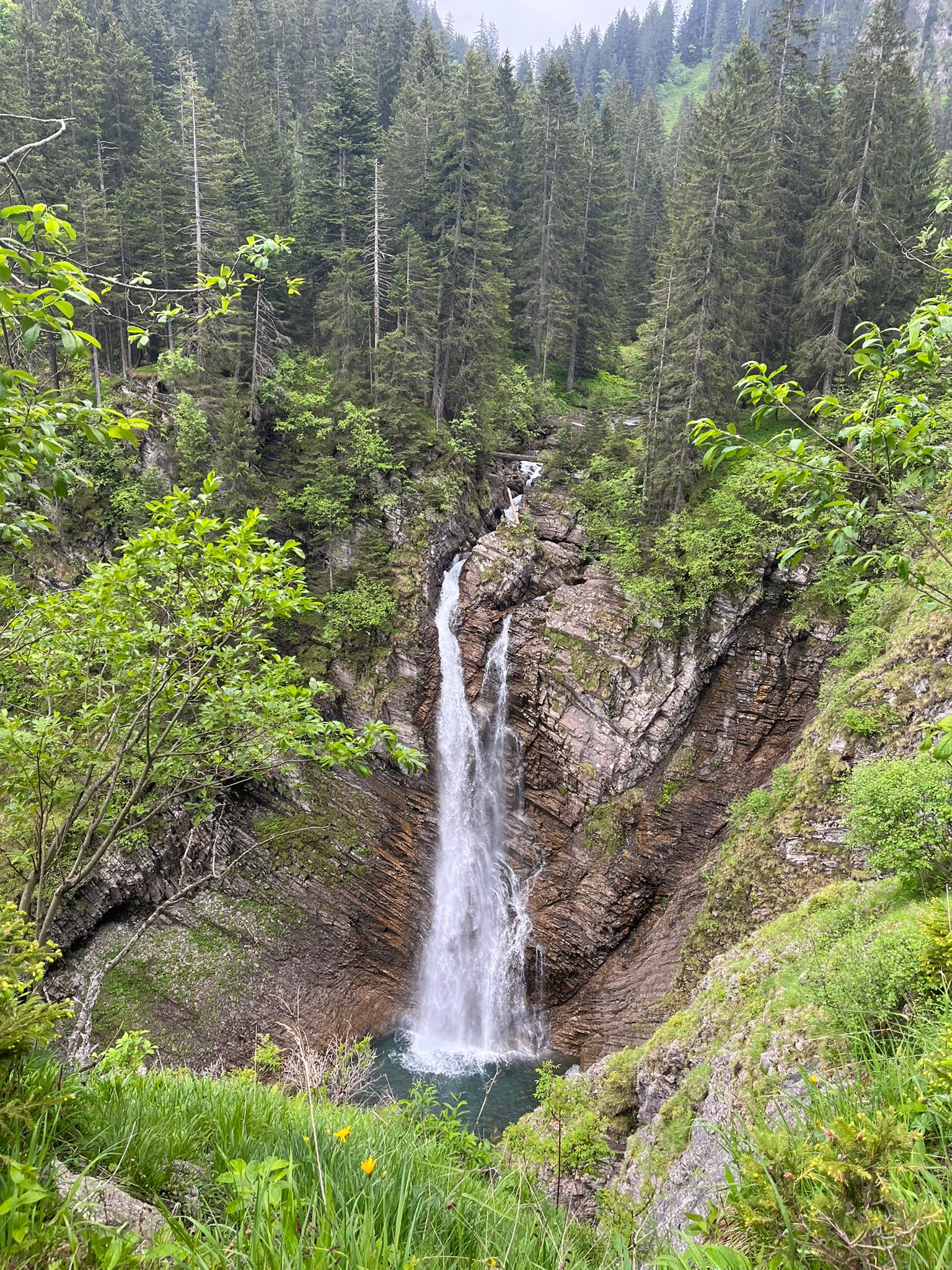 Via een prachtige bosroute de boomgrens over