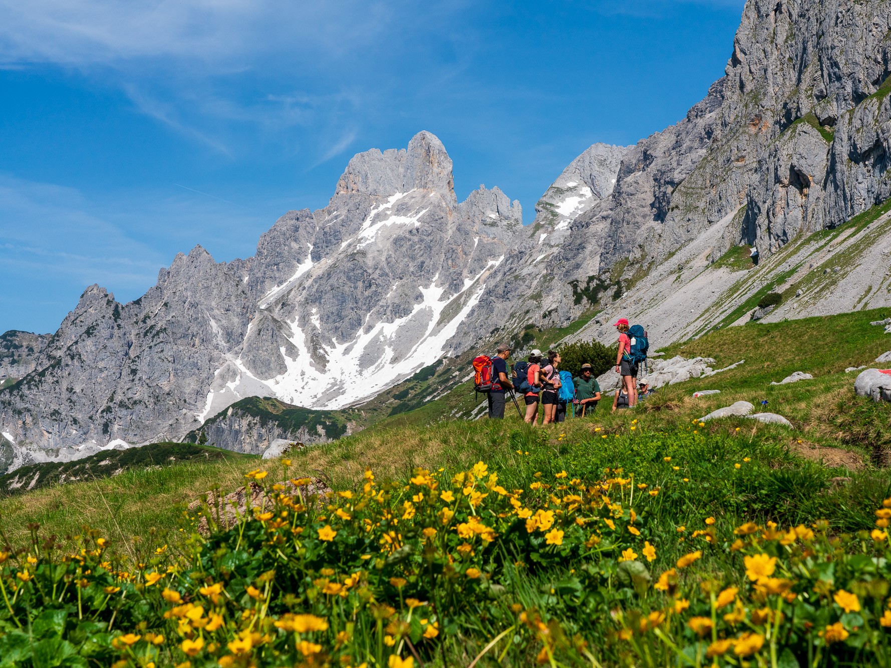Via bossen, almweides en puinvelden op weg naar de eerste hut
