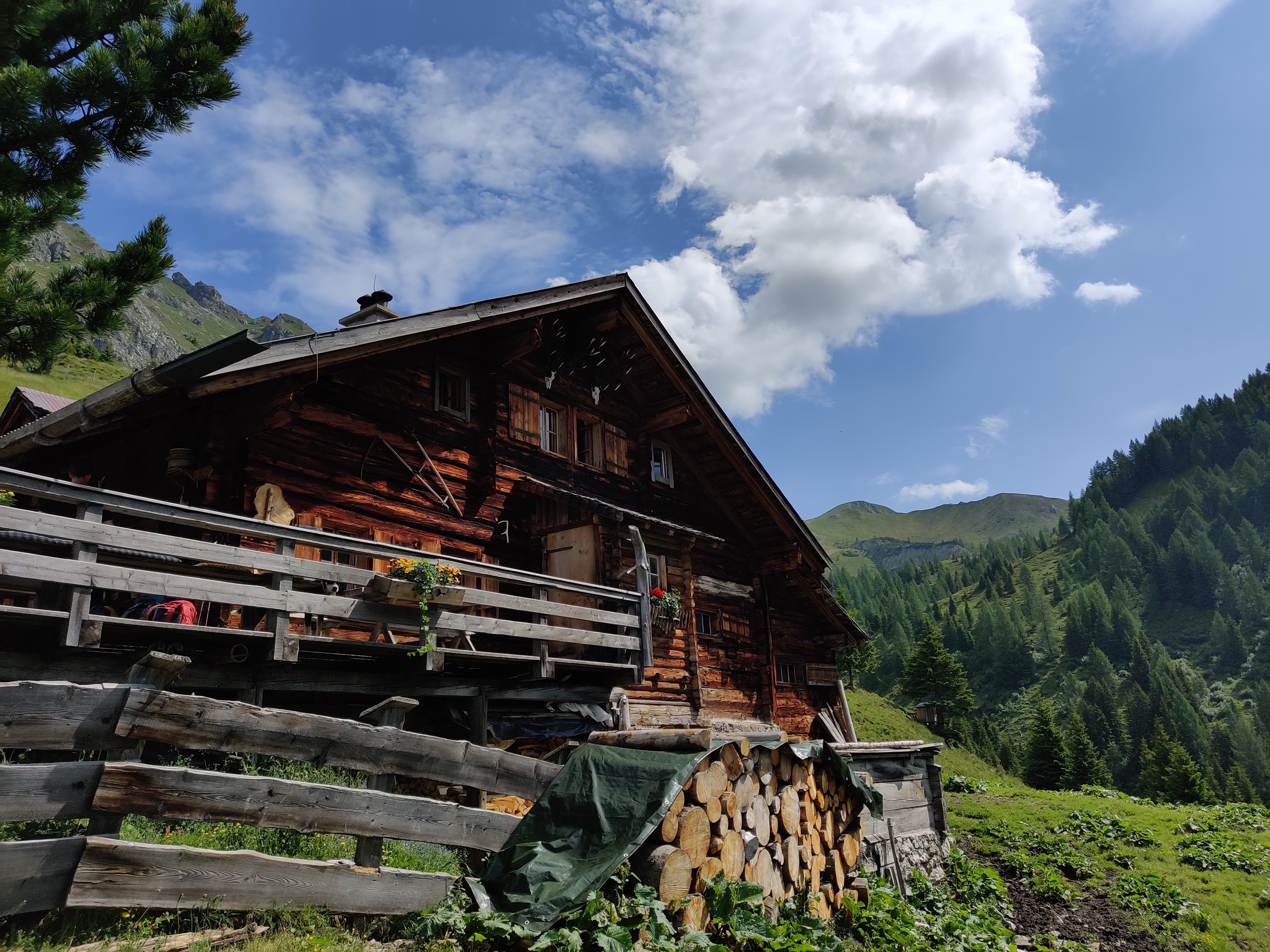 We hiken door sprookjesachtige bossen en lunchen relaxed bij de Filzmoosalm