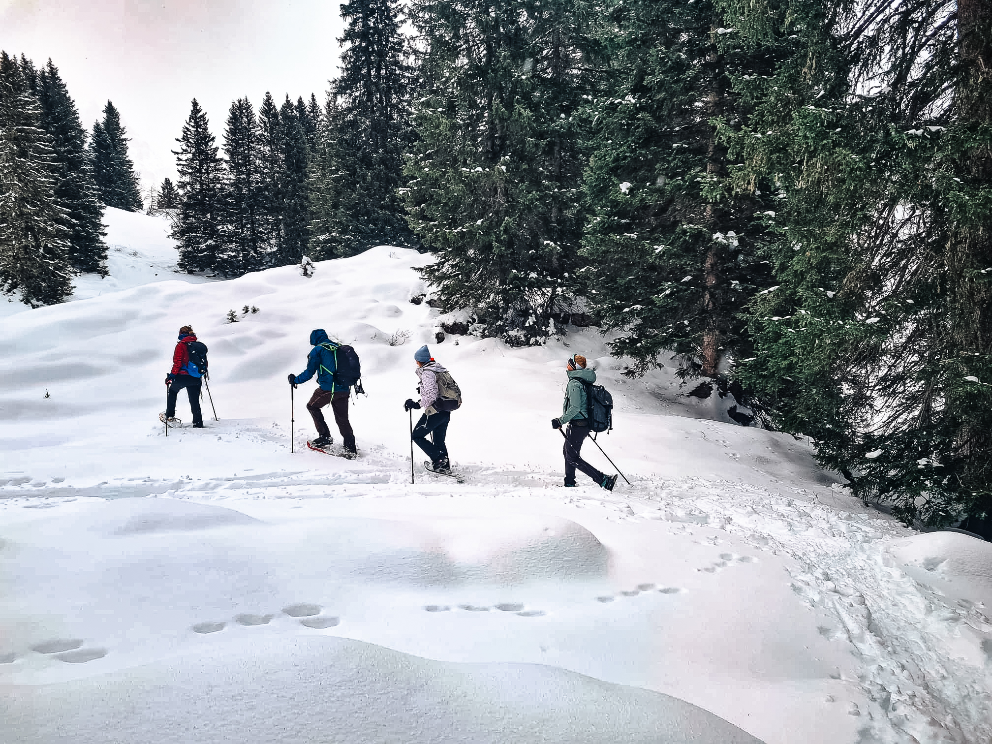 Sneeuwschoenwandelen en rodelen