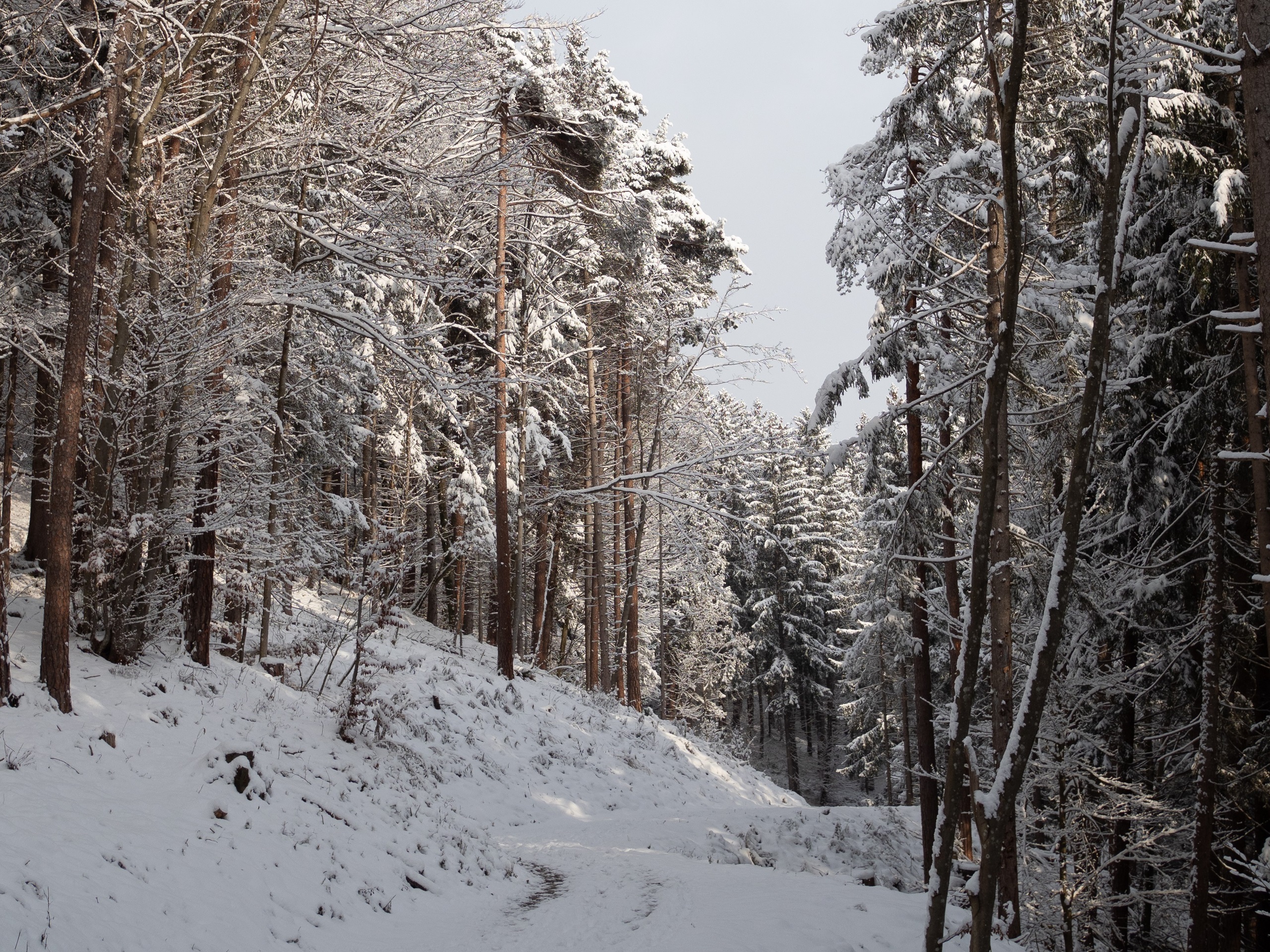 Hiken naar een almhut en optioneel klimmen naar Naviser Wetterkreuz