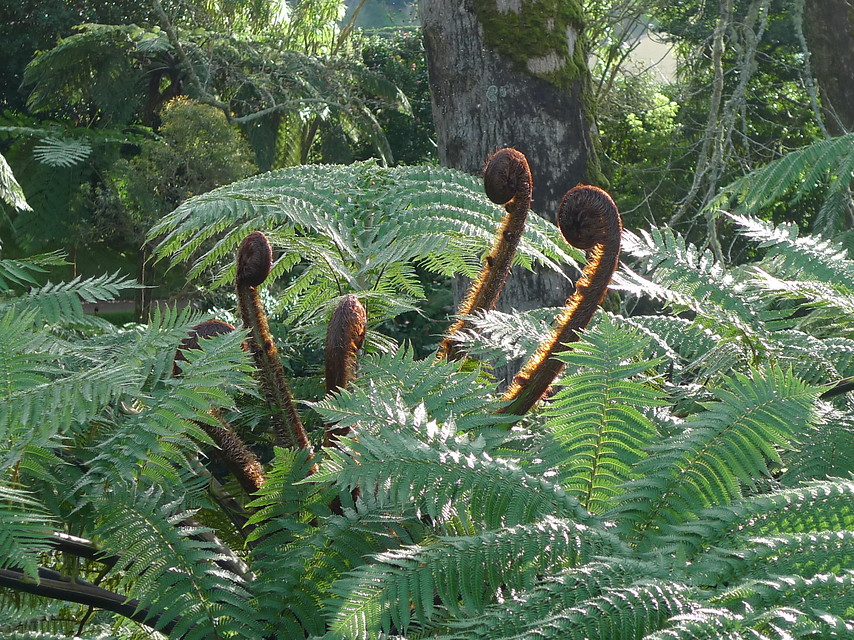 Aankomst op São Miguel