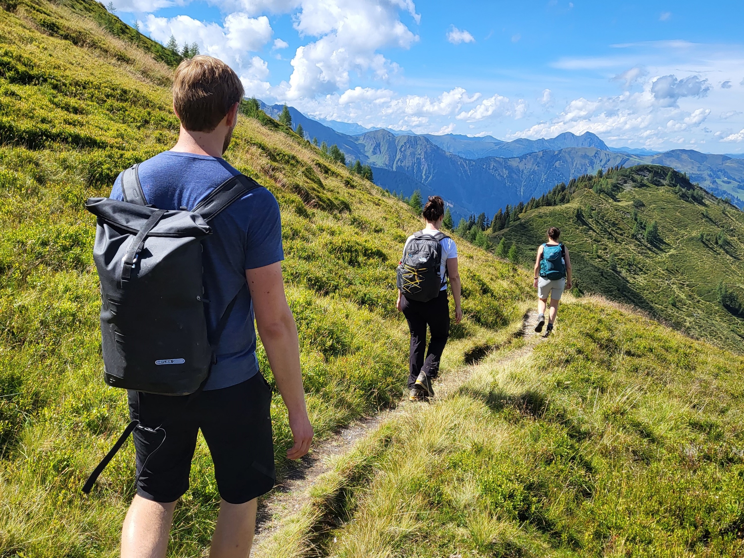 Beklimmen van de Krn (2244 m) en afdalen door bloemrijke alpenweides