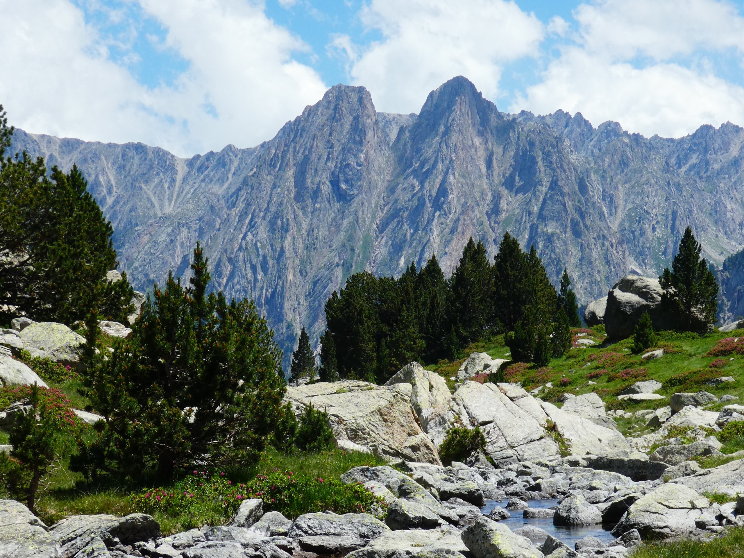 Hiken door waterrrijke bossen